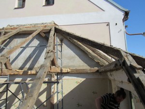 IMG 0524 (1)